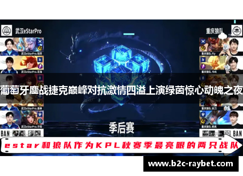 葡萄牙鏖战捷克巅峰对抗激情四溢上演绿茵惊心动魄之夜