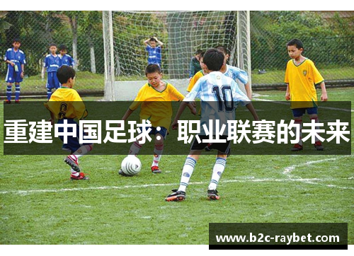 重建中国足球：职业联赛的未来