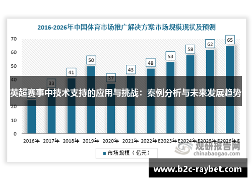 英超赛事中技术支持的应用与挑战：案例分析与未来发展趋势