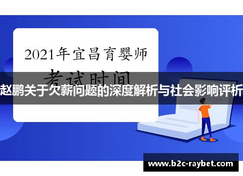 赵鹏关于欠薪问题的深度解析与社会影响评析